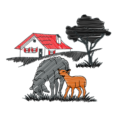 Cartoon Wedding Cartoon Wedding