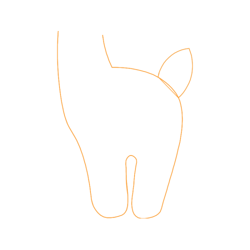 Cat Wedding Cat Wedding