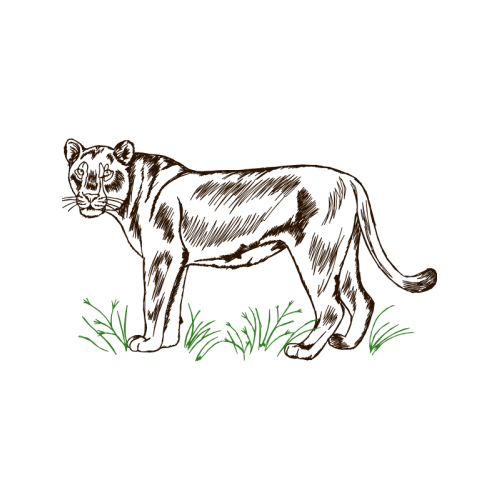 Cat Wedding Cat Wedding