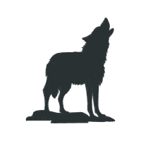 Dingo Wedding Dingo Wedding