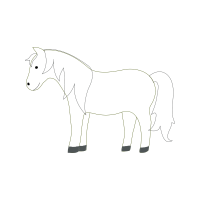 Drawing Wedding Drawing Wedding