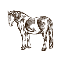 Drawing Wedding Drawing Wedding