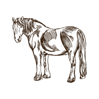 Drawing Wedding Drawing Wedding