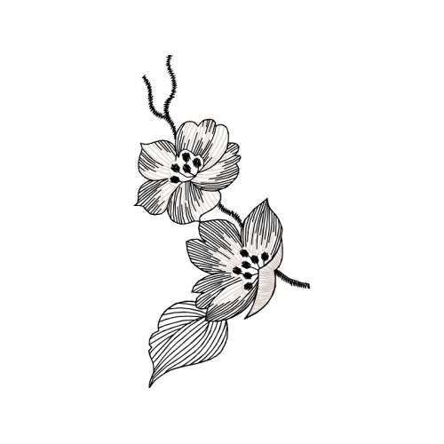 Drawing Wedding Drawing Wedding