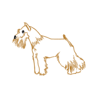 Drawing Wedding Drawing Wedding