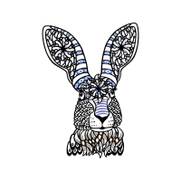 Drawing Wedding Drawing Wedding