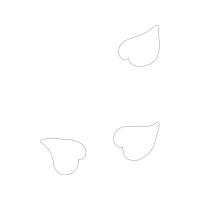 Drawing Wedding Drawing Wedding