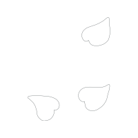 Drawing Wedding Drawing Wedding