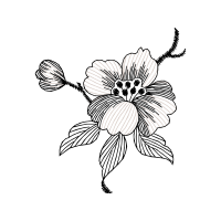 Flower Wedding Flower Wedding