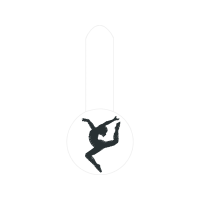 Gymnastics Wedding Gymnastics Wedding