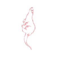 Illustration Wedding