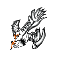 Illustration Wedding