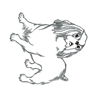 Line Art Wedding Line Art Wedding