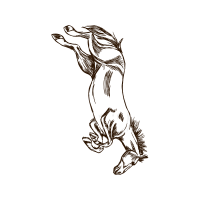 Line Art Wedding Line Art Wedding