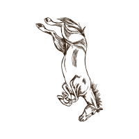 Line Art Wedding Line Art Wedding