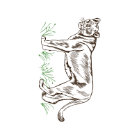 Line Art Wedding Line Art Wedding