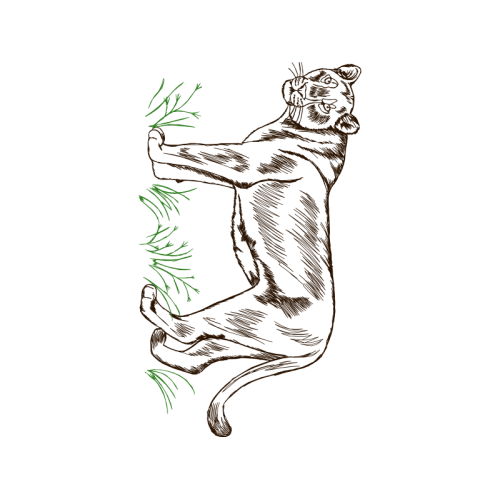 Line Art Wedding Line Art Wedding