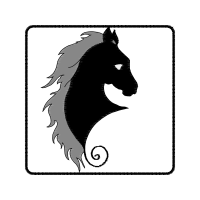 Meter Wedding Meter Wedding