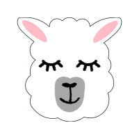 Pixers Wedding Pixers Wedding