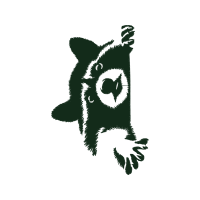 Sketch Wedding Sketch Wedding