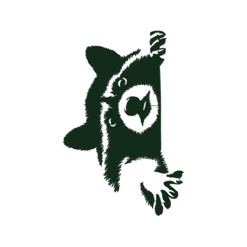 Sketch Wedding Sketch Wedding